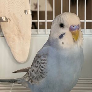 Meet your Posher, Mariah